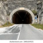 在贝壳白菜社区中,如何实现可持续发展的生活方式 6ydp93i8