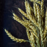 18007期体育彩票开奖结果最新公布 1227ua01n