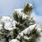 3d206期开奖结果最新公布与详细号码分析 62faojy