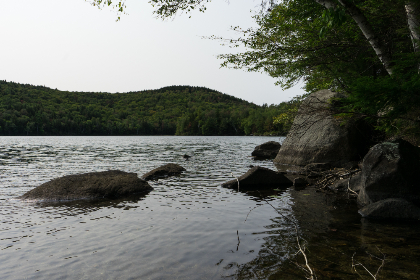 3D2025086期开奖号码是多少?最新结果已公布 3D2025086期开奖号码是多少?最新结果已公布