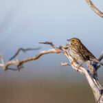 18011期体育彩票开奖结果查询与最新号码公布 alo504os1