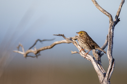 18011期体育彩票开奖结果查询与最新号码公布