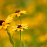 18010期足彩开奖结果揭晓,大奖花落谁家? dfbx08dkl