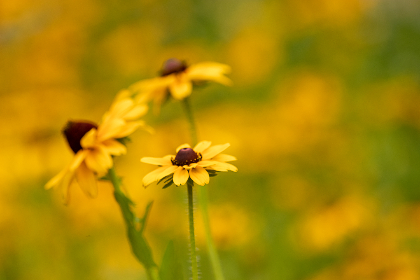 18010期足彩开奖结果揭晓,大奖花落谁家? 18010期足彩开奖结果揭晓,大奖花落谁家?
