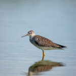 18014期足彩开奖结果正式公布,奖金金额再创新高 f1zzps0