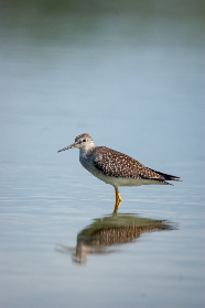 18014期足彩开奖结果正式公布,奖金金额再创新高 18014期足彩开奖结果正式公布,奖金金额再创新高