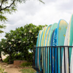 18015期足彩开奖结果揭晓:大奖花落谁家引关注 gd9yf8