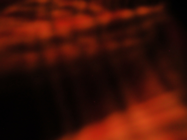 18021期体育彩票开奖结果公告与号码查询 18021期体育彩票开奖结果公告与号码查询