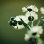 18006期大乐透开奖结果及最新中奖号码公布 hb7nor