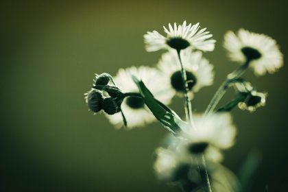 18006期大乐透开奖结果及最新中奖号码公布 18006期大乐透开奖结果及最新中奖号码公布