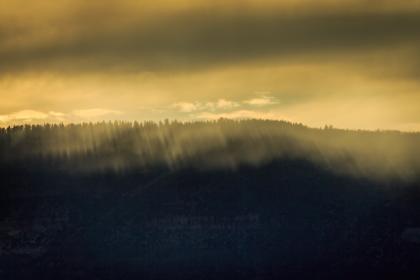 3d2025193期开奖号码公布及结果查询 3d2025193期开奖号码公布及结果查询