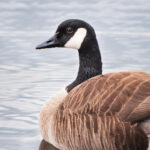 18020彩票最新开奖结果查询与中奖号码公布 mgm6o6io