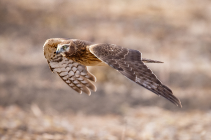 18026期开奖结果公布,幸运号码震撼揭晓 18026期开奖结果公布,幸运号码震撼揭晓