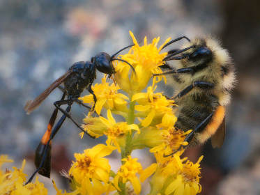 18004期体育彩票开奖结果查询与中奖号码公布 18004期体育彩票开奖结果查询与中奖号码公布