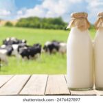 18017期开奖结果震撼揭晓,大奖花落谁家? oddota747