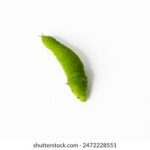 18026期体彩开奖结果公布,大奖花落谁家引关注 p85zx