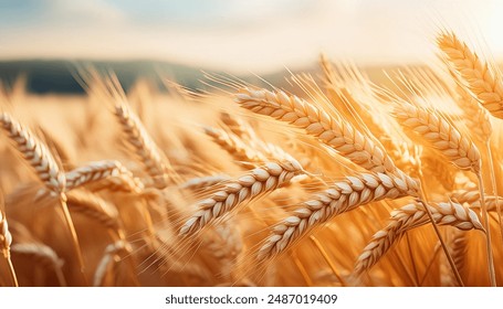 18018期大乐透开奖结果公布,大奖花落谁家? 18018期大乐透开奖结果公布,大奖花落谁家?