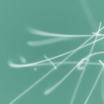 18029期红色球开奖结果正式公布 w3t6e648p